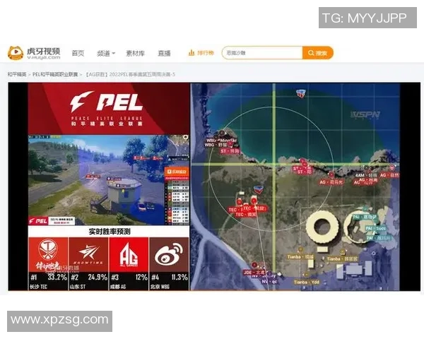PEL战队客场战术全面解析与实战应用探讨