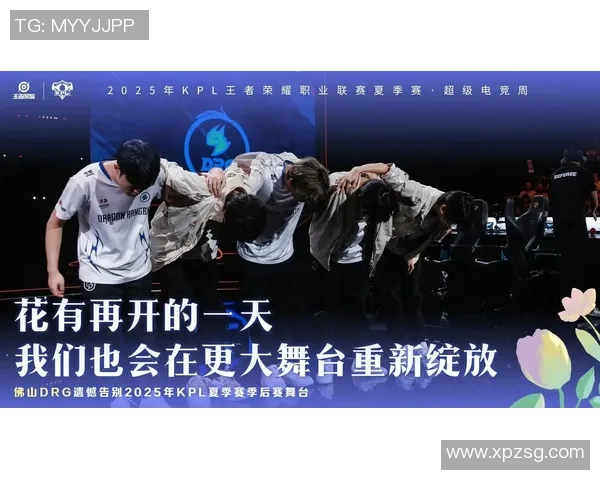 KPL北京JDG战队磨合进程分析与未来发展展望